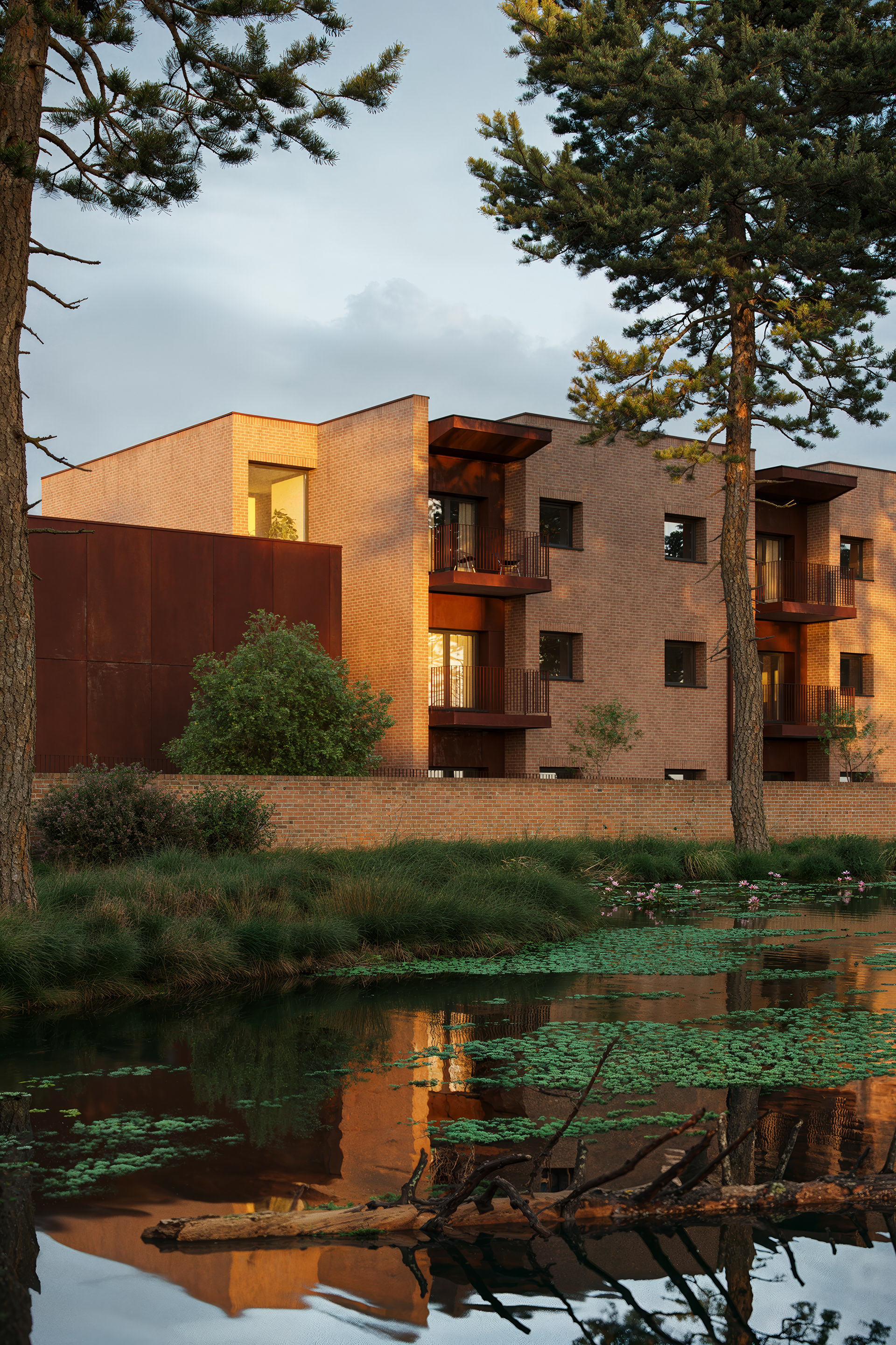 New Sheltered Accommodation — view 9