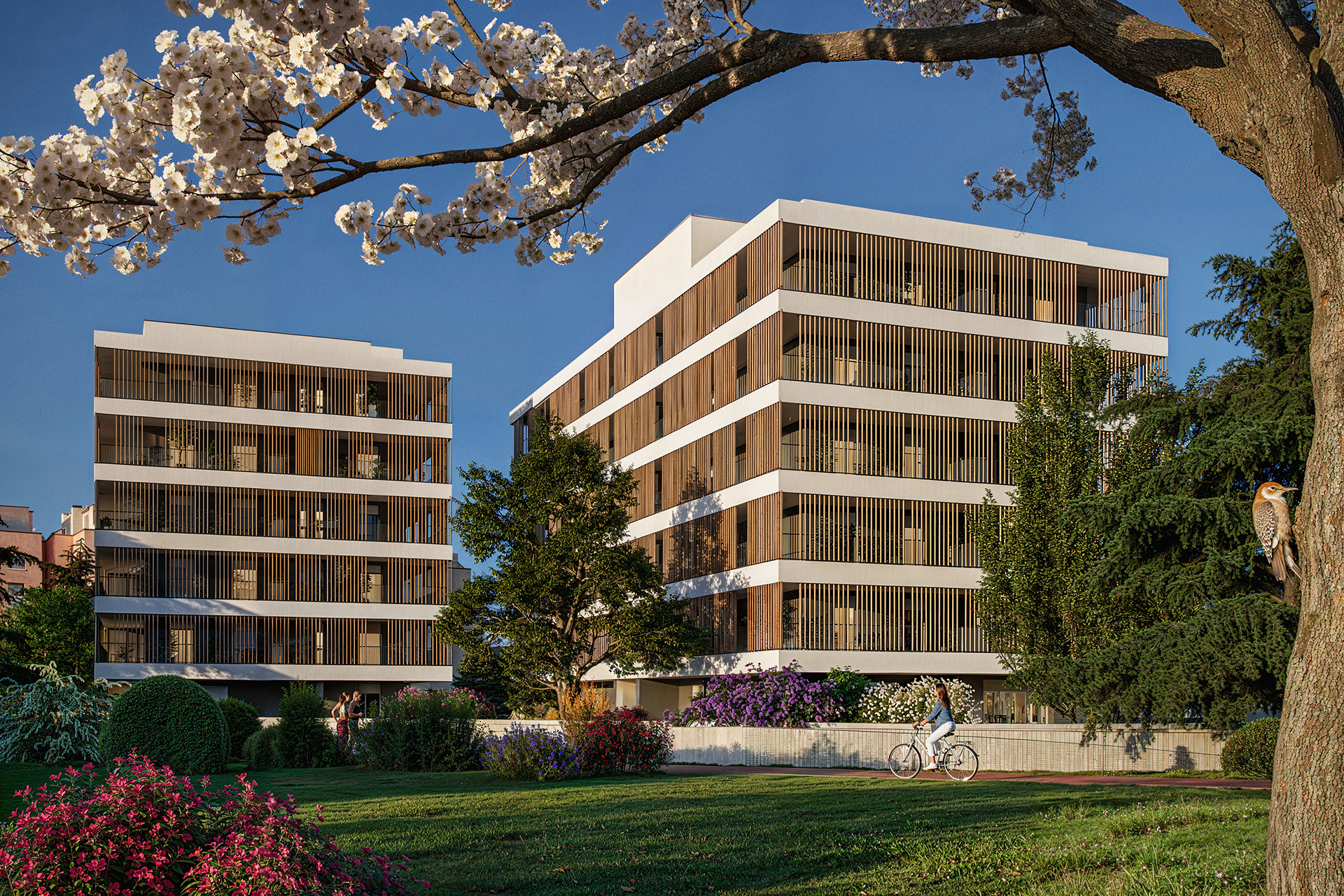 Twin Residential Buildings in Bologna — view 4