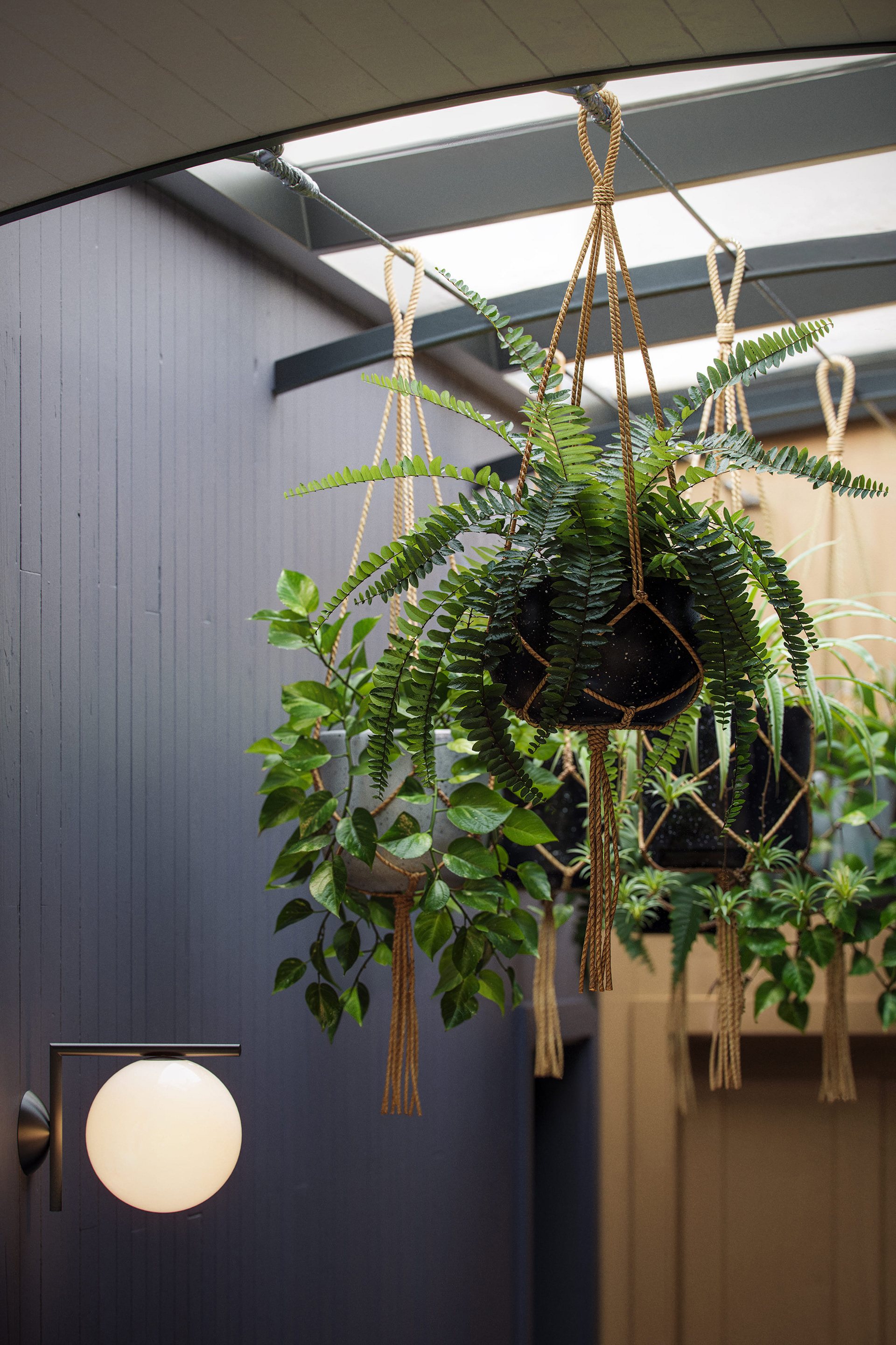 Nissen hut conversion - interiors — view 6