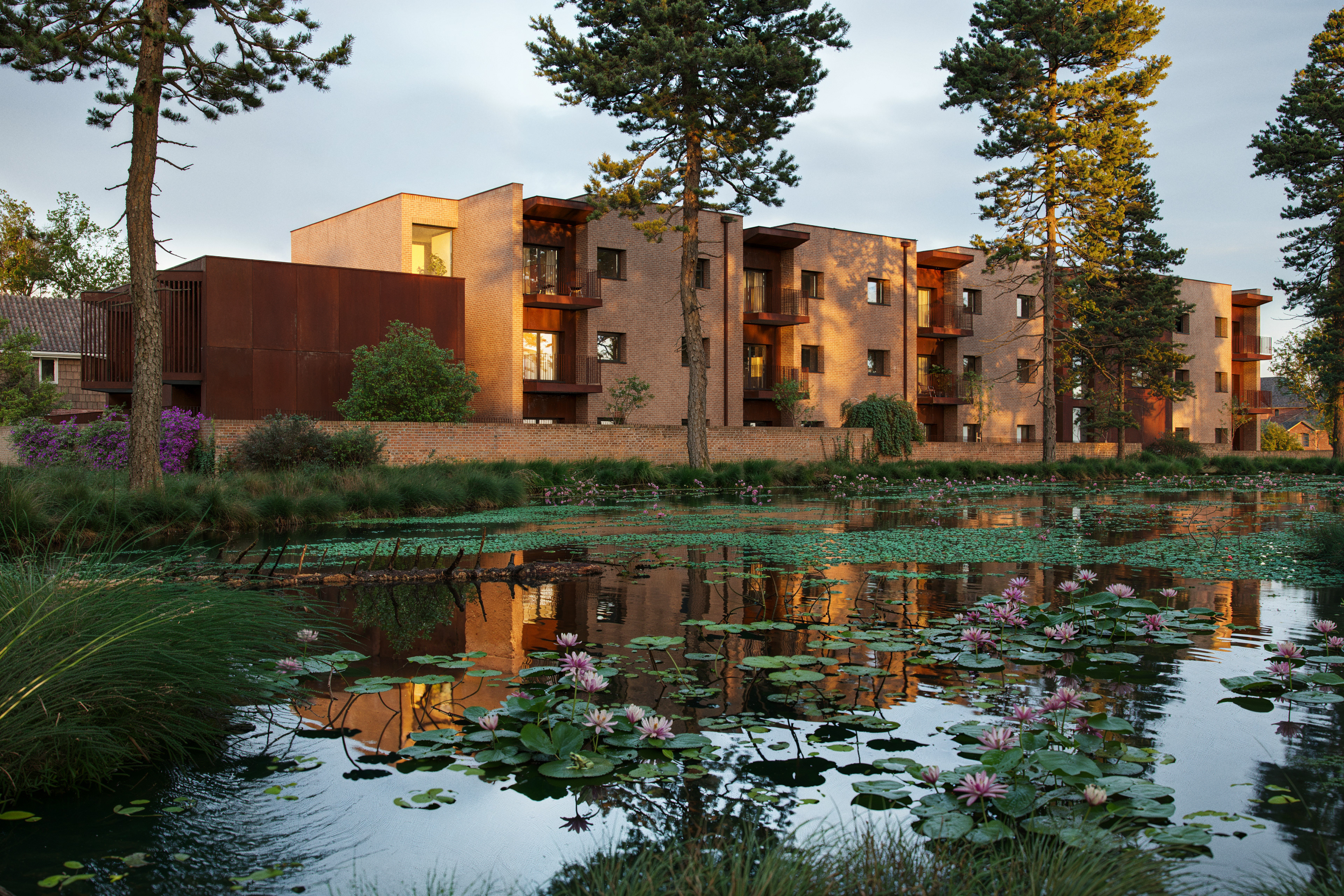 New Sheltered Accommodation — view 8