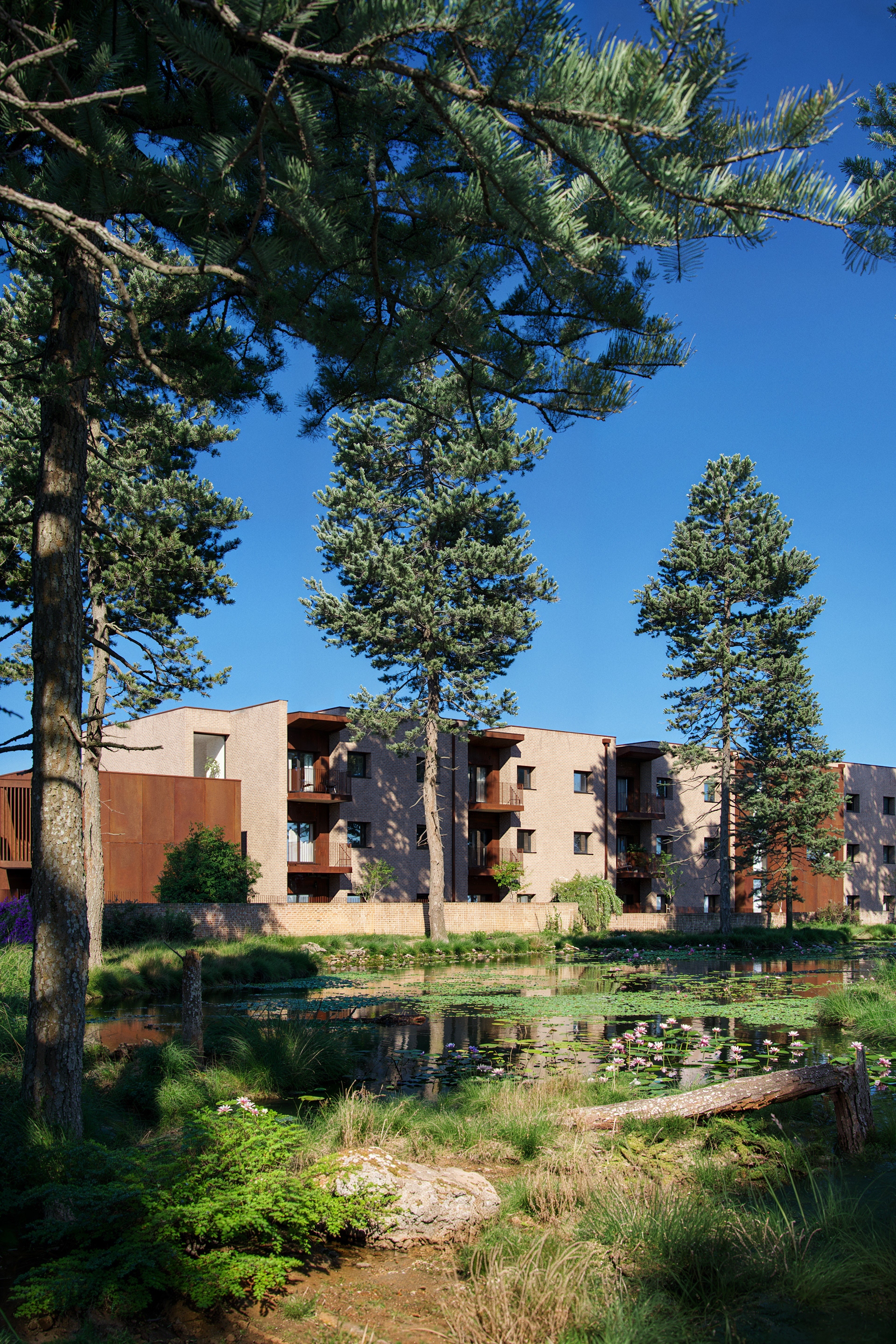 New Sheltered Accommodation — view 18