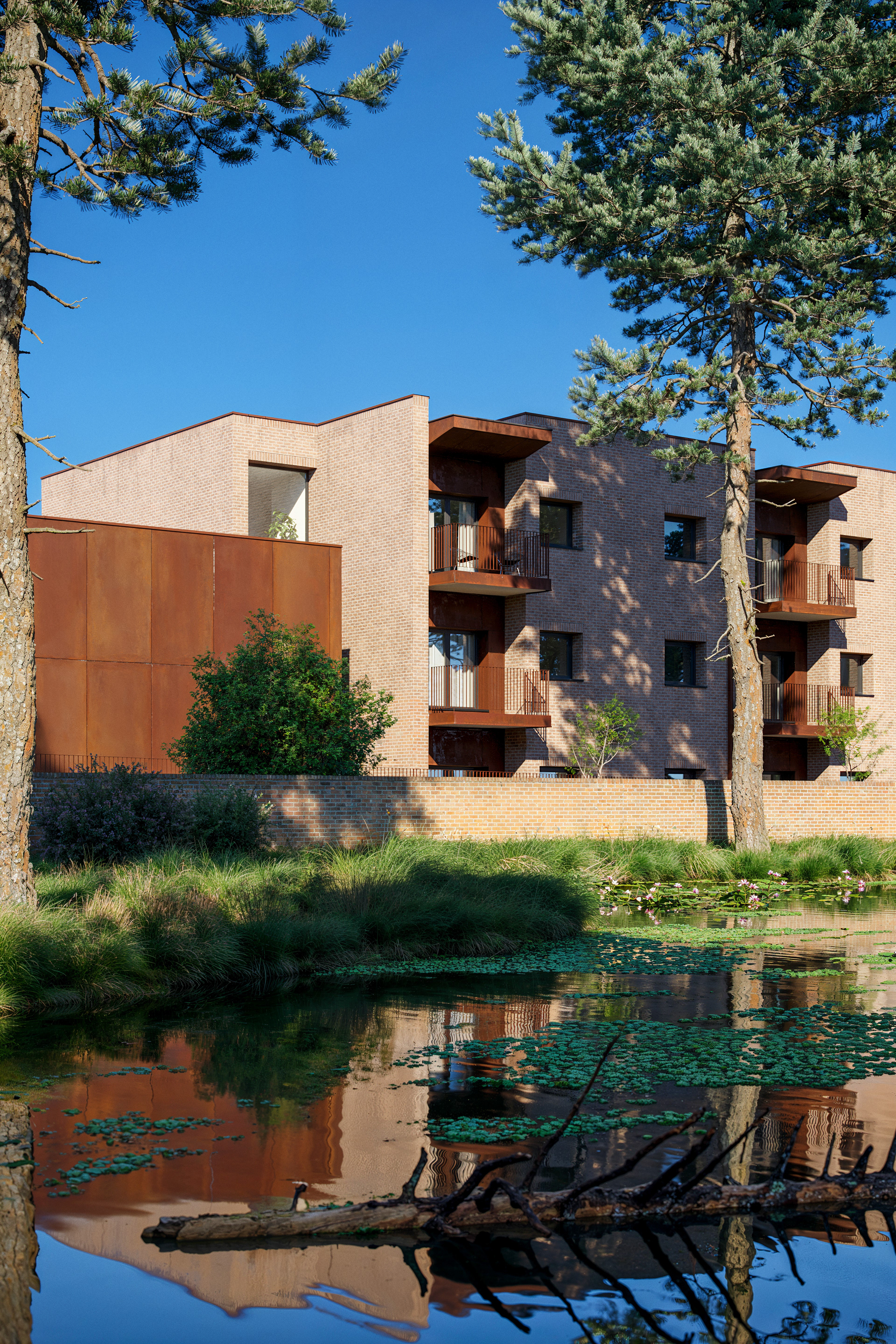 New Sheltered Accommodation — view 17
