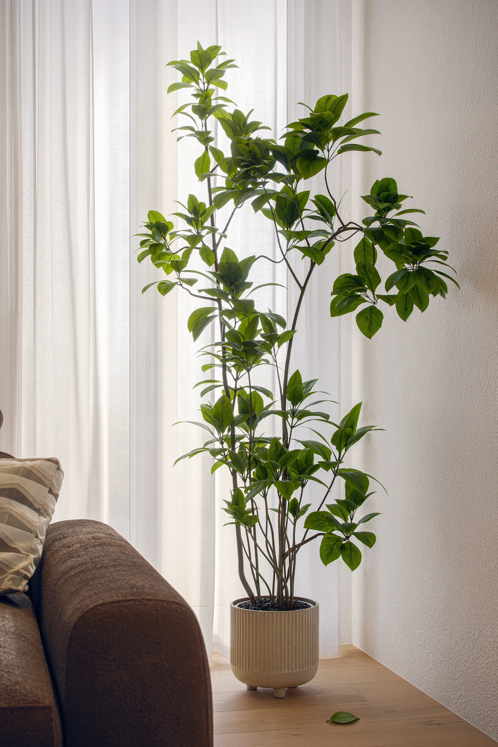 CDR Apartment — view 9