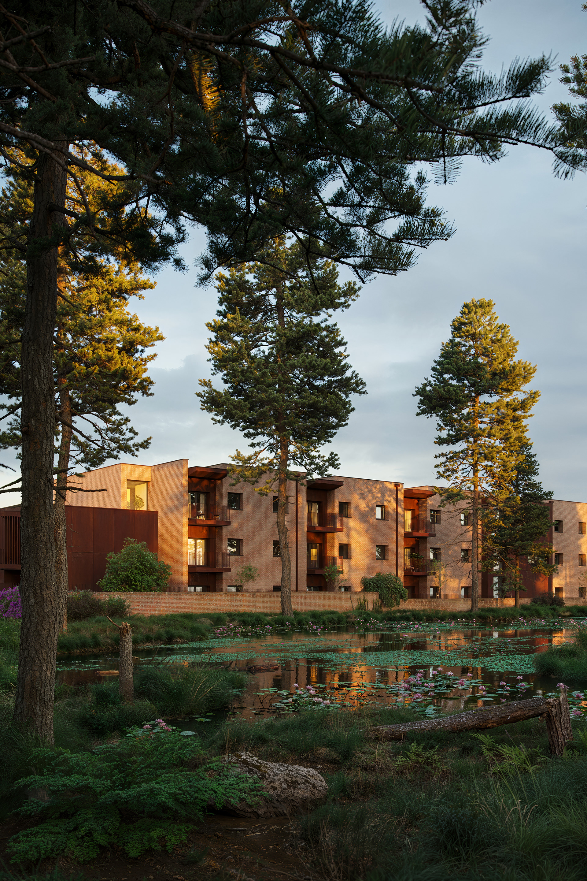 New Sheltered Accommodation — view 10